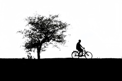 1555-G-A-life-painted-in-shadows