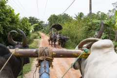 1577-G-Burden-of-theG-road