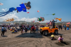 1579-G - Kite-Festival-on-the-Beach
