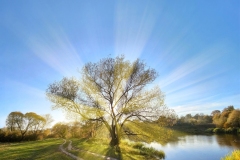 1587-G-Autumn-Dawn