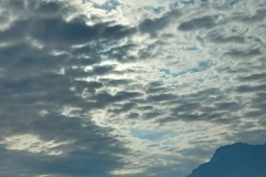 243-G-Late-afternoon