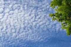 255-G-Summer-sky
