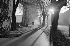 289-G-Morning-shadows