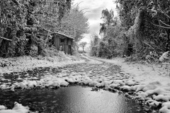 292-G-Winter-morning