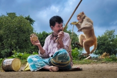 298-G-Monkey-Dance