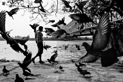 299-G-Peace-in-Chaos