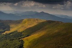 324-Tarnica