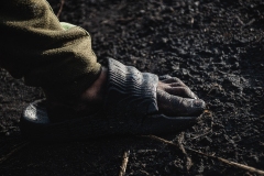 334-G-little-foot-in-the-mud