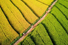 408-G-Farmer-spirit-in-the-morning.jpg