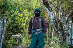 471-G-The-Zapatista
