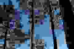 510-G-