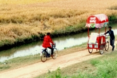 514-G-ICE-CREAM-VENDOR