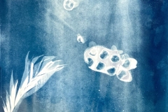 528-G-aquarium