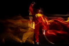 536-G-Traditional-Vietnamese-Martial-Arts