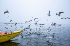 567-G-Life-on-a-boat