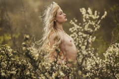 61-G-Springtime