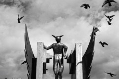 635-G-The-freedom