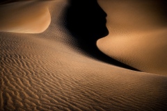 641-G-The-man-of-the-desert