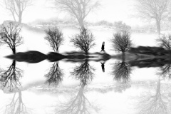 660-G-In-Endless-Silence