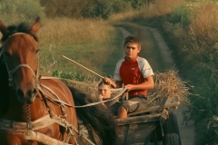 715-G-The-Road-of-Childhood