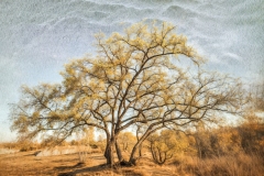 716-G-Fairy-tale-tree