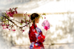 749-G-cherry-blossom