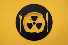 756-G-No-to-nuclear