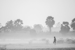 766-G-Mist-Morning