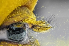 772-G-Surrounded-by-yellow