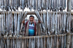 800-G-Fishi-Drying