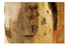 867-G-The-Deformation-of-Reality-A-Face-from-the-World-of-2024