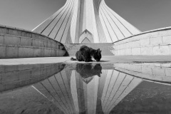 932-G-Symmetry