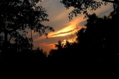 960-G-Last-Evening