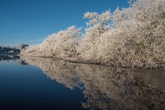 982-G-Frozen-Reflections