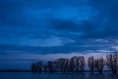 994-G-Blue