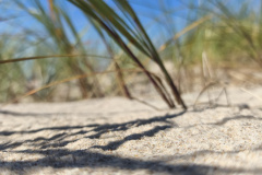 0021-G-Piasek-i-zielen