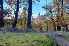 0030-G-zamek-posrod-drzew