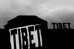 0031-G-Tibet-Alive