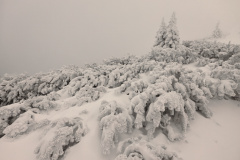 0037-G-snieg-w-gorach