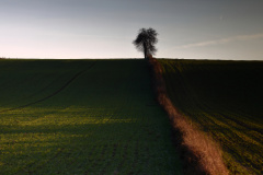 0039-G-wieczorne-cienie