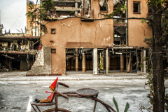 0044-G-The-Wheel-of-Samsara