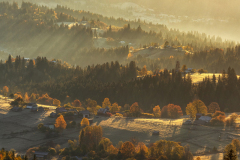 0051-G-Golden-morning-of-the-Carpathians
