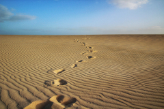 0075-G-Footprints_Boa-Vista