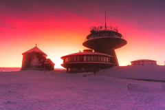 0078-L-KROLOWA-SNIEZKA-1