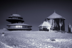 0079-L-KROLOWA-SNIEZKA-2