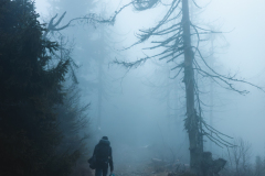 0081-G-Wedrowka-w-nicosc