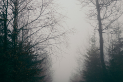 0082-G-Znikajacy-w-szarosci