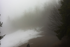 0083-G-Wchodze-w-cisze