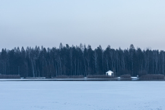 0098-G-Zmarznieta-cisza