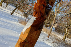 0126 - G - Gdy Patrze to widzę